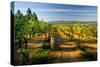 Wine Cellars in Eastern Washington.-Richard Duval-Stretched Canvas