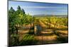 Wine Cellars in Eastern Washington.-Richard Duval-Mounted Photographic Print