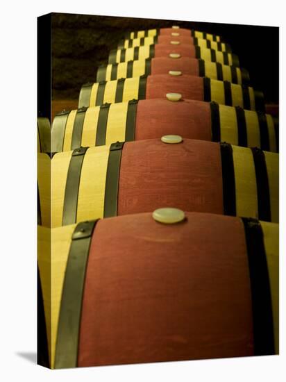 Wine Celler in Catalonia, Spain-Carlos Sanchez Pereyra-Stretched Canvas