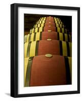 Wine Celler in Catalonia, Spain-Carlos Sanchez Pereyra-Framed Photographic Print