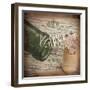 Wine Collage II-Pela Studio-Framed Art Print