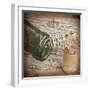 Wine Collage II-Pela Studio-Framed Art Print