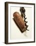 Wine Cork with Corkscrew-Joerg Lehmann-Framed Photographic Print