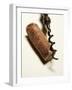 Wine Cork with Corkscrew-Joerg Lehmann-Framed Photographic Print