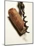 Wine Cork with Corkscrew-Joerg Lehmann-Mounted Photographic Print