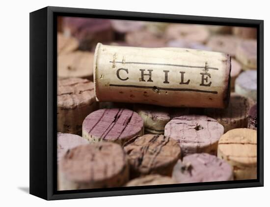 Wine Corks from Chile-Frank Tschakert-Framed Stretched Canvas