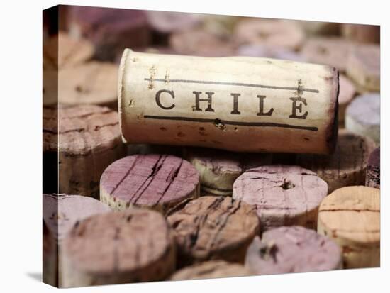 Wine Corks from Chile-Frank Tschakert-Stretched Canvas