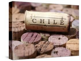 Wine Corks from Chile-Frank Tschakert-Stretched Canvas