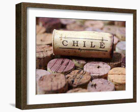 Wine Corks from Chile-Frank Tschakert-Framed Photographic Print