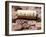 Wine Corks from Chile-Frank Tschakert-Framed Photographic Print