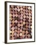 Wine Corks-Frank Tschakert-Framed Photographic Print