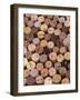 Wine Corks-Frank Tschakert-Framed Photographic Print