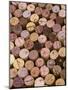 Wine Corks-Frank Tschakert-Mounted Photographic Print