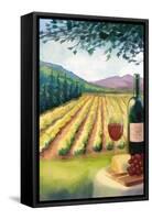 Wine Country and Vineyard-Lantern Press-Framed Stretched Canvas