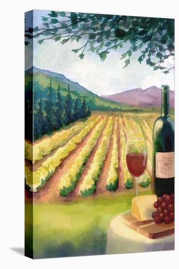 Wine Country and Vineyard-Lantern Press-Stretched Canvas