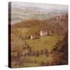 Wine Country II-Longo-Stretched Canvas