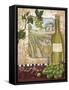 Wine Country II-Fiona Stokes-Gilbert-Framed Stretched Canvas