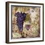 Wine Country III-Sasha-Framed Giclee Print