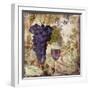 Wine Country III-Sasha-Framed Giclee Print