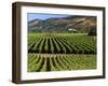 Wine Country, Napa Valley, California-John Alves-Framed Premium Photographic Print