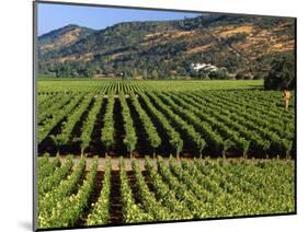 Wine Country, Napa Valley, California-John Alves-Mounted Photographic Print