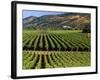 Wine Country, Napa Valley, California-John Alves-Framed Photographic Print