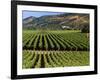 Wine Country, Napa Valley, California-John Alves-Framed Photographic Print