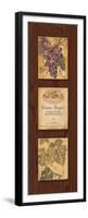 Wine Country Panel II-Gregory Gorham-Framed Premium Giclee Print