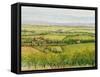 Wine Country View I-Tim O'toole-Framed Stretched Canvas