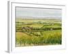 Wine Country View I-Tim O'toole-Framed Art Print