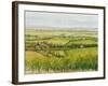 Wine Country View I-Tim O'toole-Framed Art Print