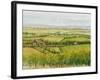 Wine Country View I-Tim O'toole-Framed Art Print