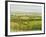 Wine Country View I-Tim O'toole-Framed Art Print