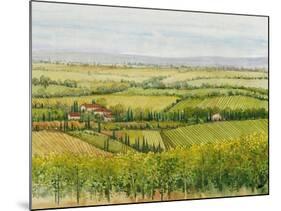 Wine Country View I-Tim O'toole-Mounted Art Print
