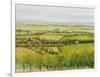 Wine Country View I-Tim O'toole-Framed Art Print