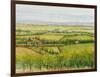 Wine Country View I-Tim O'toole-Framed Art Print