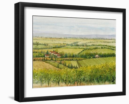 Wine Country View I-Tim O'toole-Framed Art Print