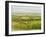 Wine Country View I-Tim O'toole-Framed Art Print