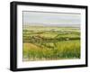 Wine Country View I-Tim O'toole-Framed Art Print