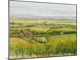 Wine Country View I-Tim O'toole-Mounted Art Print