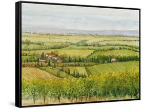 Wine Country View I-Tim O'toole-Framed Stretched Canvas