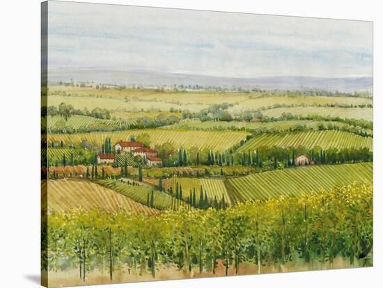 Wine Country View I-Tim O'toole-Stretched Canvas