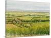 Wine Country View I-Tim O'toole-Stretched Canvas