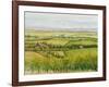 Wine Country View I-Tim O'toole-Framed Art Print