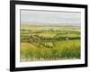 Wine Country View I-Tim O'toole-Framed Art Print