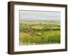 Wine Country View I-Tim O'toole-Framed Art Print