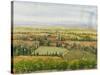 Wine Country View II-Tim O'toole-Stretched Canvas