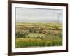 Wine Country View II-Tim O'toole-Framed Art Print