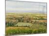 Wine Country View II-Tim O'toole-Mounted Art Print