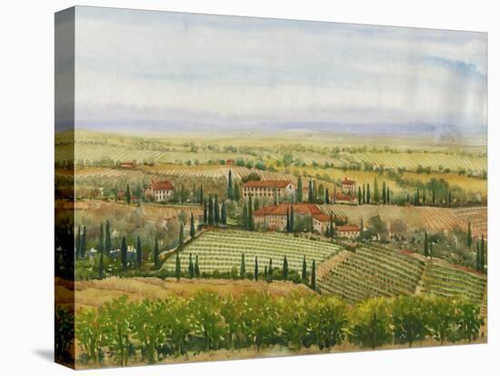 Wine Country View II-Tim O'toole-Stretched Canvas